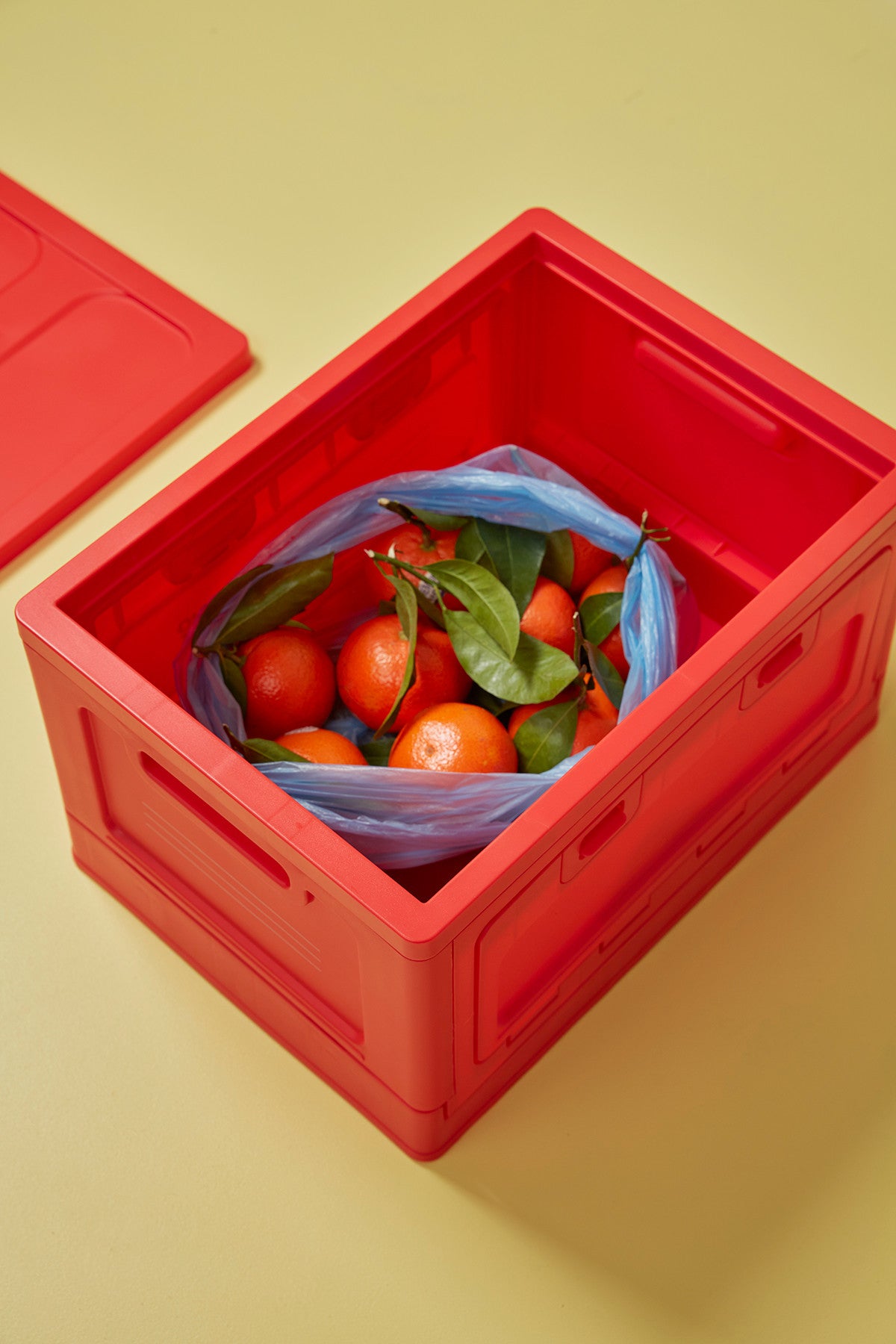 Box medium met deksel