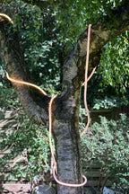 Flex Tube lamp 5 m