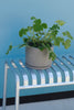 Palissade bank hot galvanised