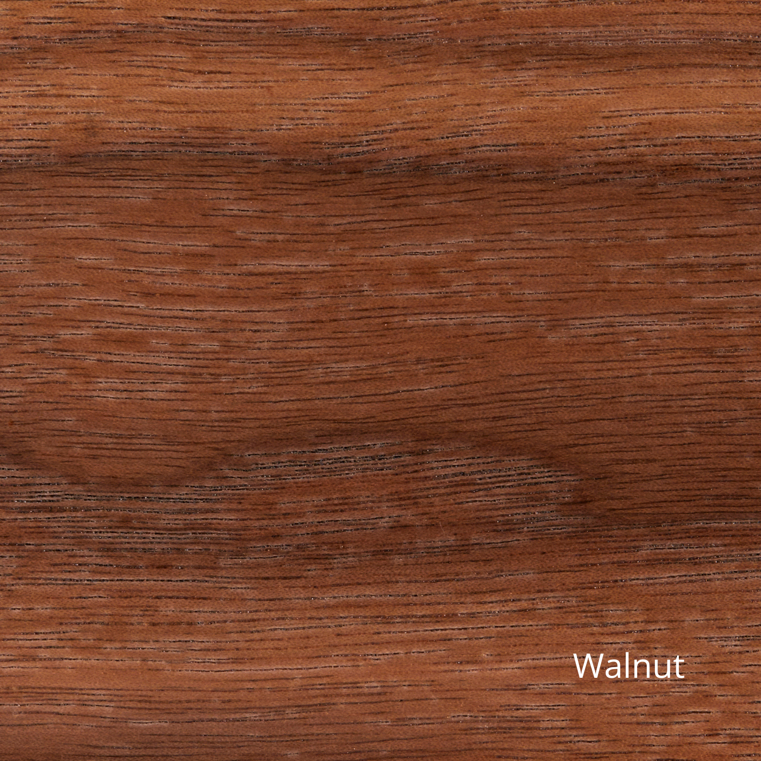 CPH25 tafel walnoot rond