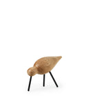 Shorebird vogel medium eik en