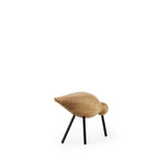 Shorebird vogel medium eik en