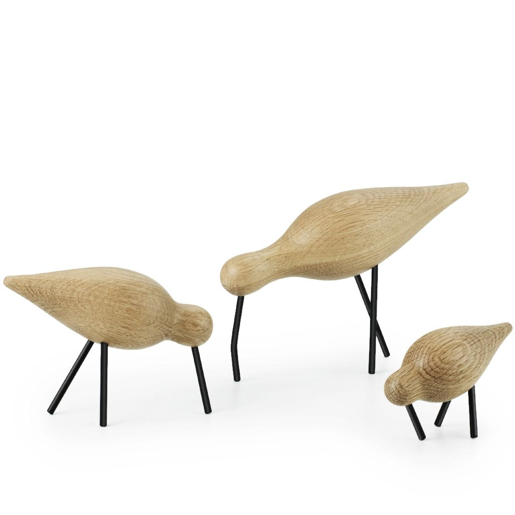 Shorebird vogel medium eik en