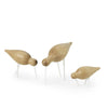 Shorebird vogel small - eik en wit