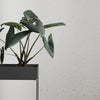 Plant box plantenbak - donkergrijs