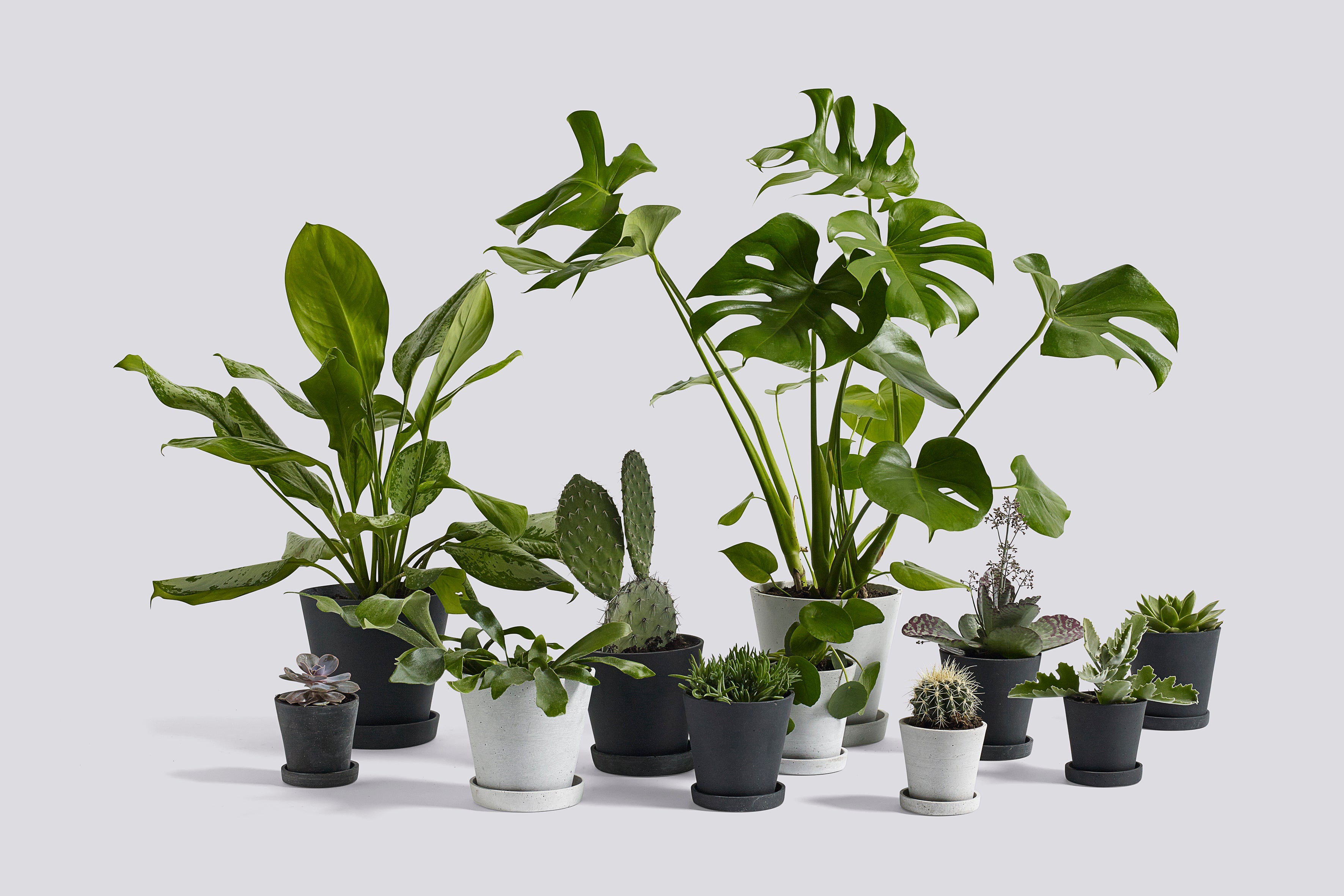 Flowerpot Bloempot met schotel XL