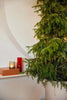 HK Living - Glazen theelichthouder olive