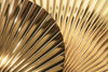 Concha wall hook kapstok small goud