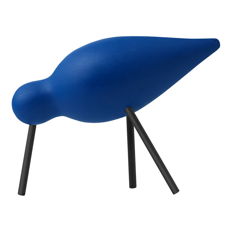 Shorebird vogel medium