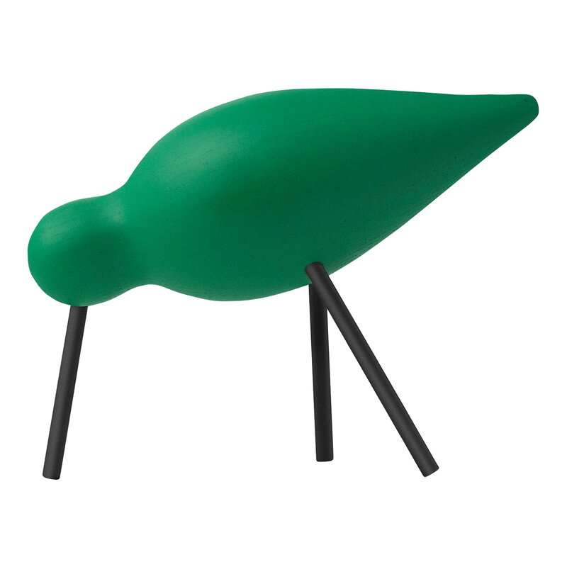 Shorebird vogel medium