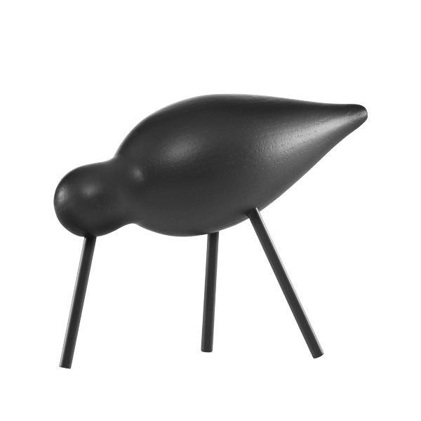 Shorebird vogel medium
