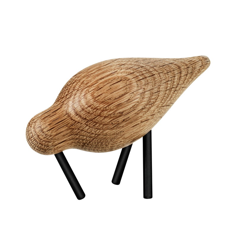 Shorebird vogel small eik en