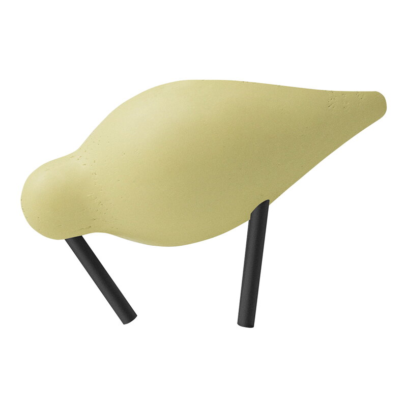 Shorebird vogel small