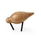 Shorebird vogel small eik en